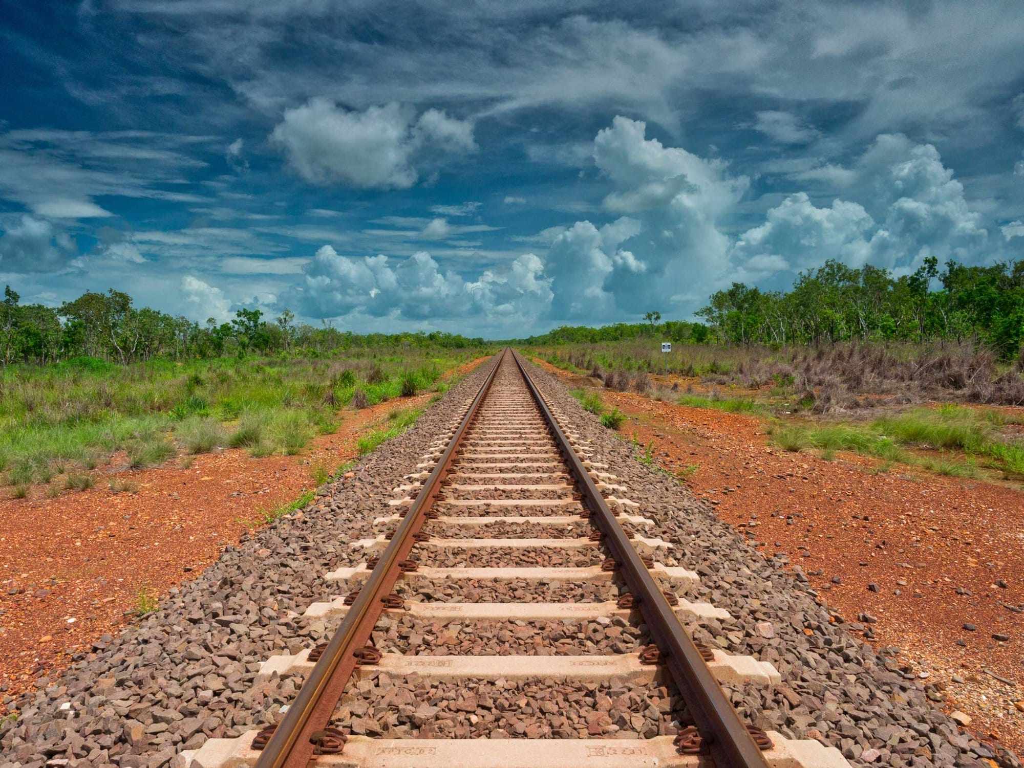 Tracks in the Wet