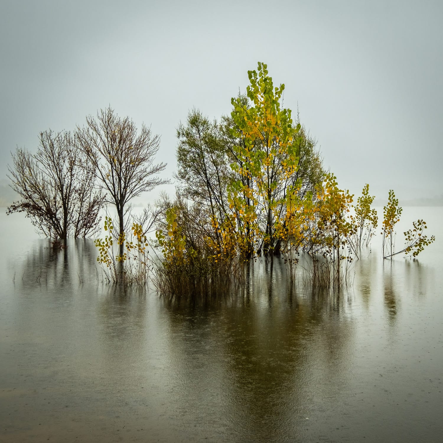 Jindabye Reflections