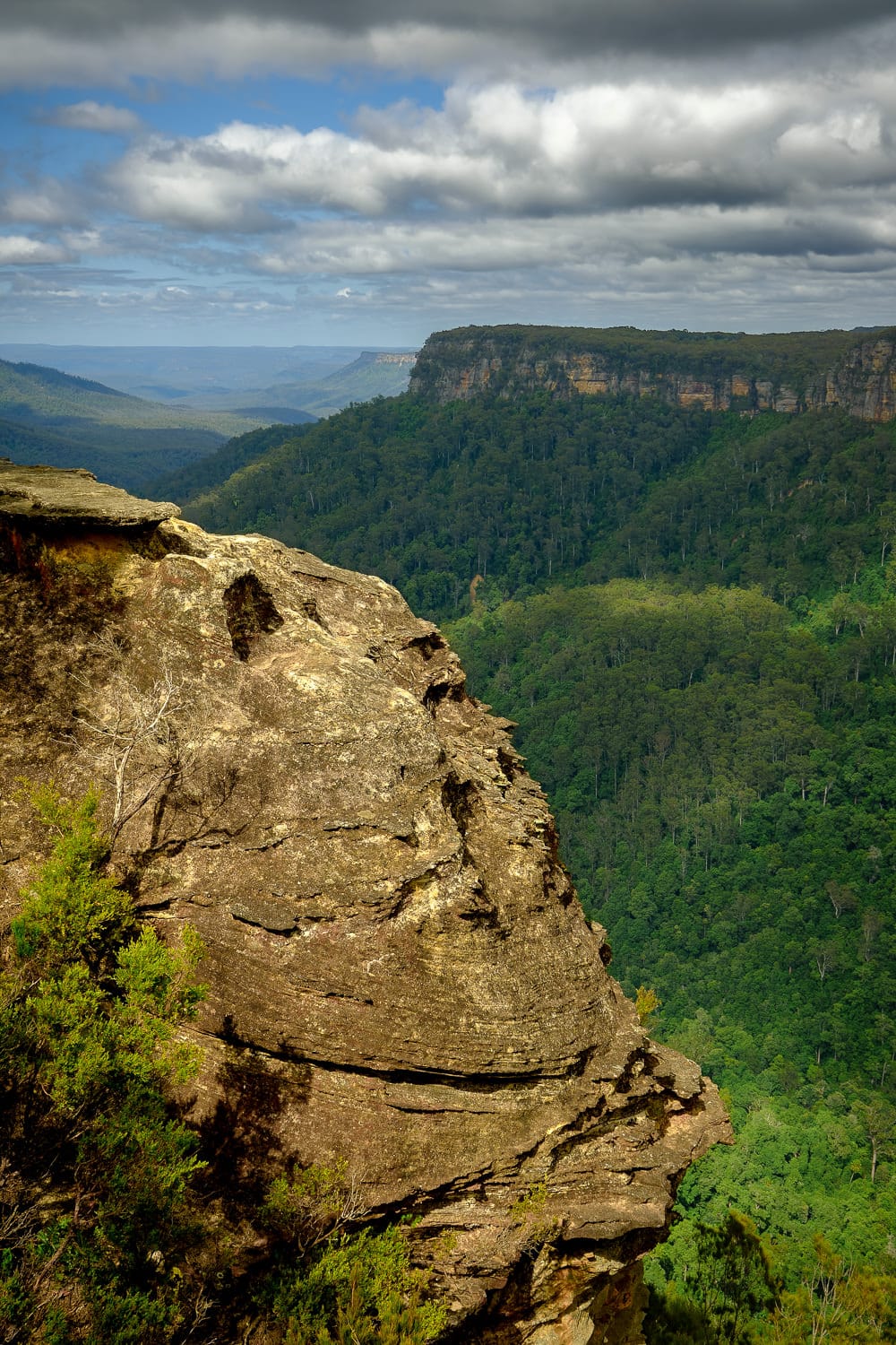 Fitzroy Falls East Rim Track