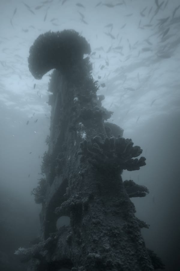 Vertical Wreck