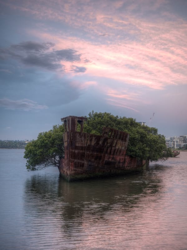 The Wreck at Homebush Bay